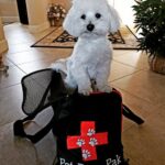 Small Dog Pet Evac Pack