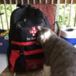 Cat Pet Evacuation Pack