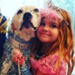 Therapy Dog Marshall Princess Party