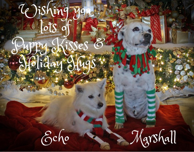 2019 Christmas