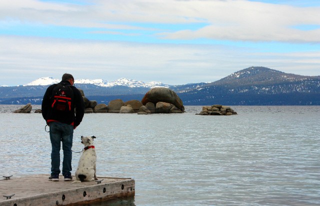 Pet Emergency Preparedness