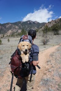 Pet Emergency Preparedness
